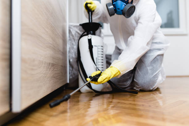 Best Pest Prevention Services  in Cashion, OK