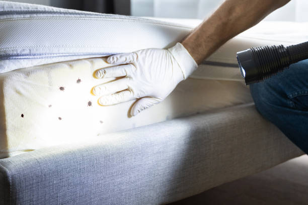 Best Best Pest Control Companies  in Cashion, OK