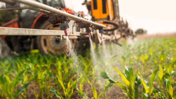 Reliable Cashion, OK Pest Control Solutions